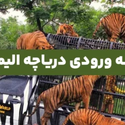 هزینه ورودی دریاچه الیمالات + هزینه سافاری الیمالات