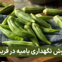 روش نگهداری بامیه در فریزر + نکات مهم نگهداری