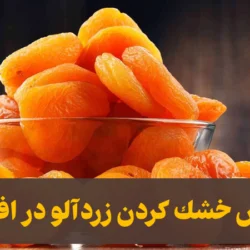 روش خشك كردن زردآلو در افتاب بدون اینکه سیاه شود