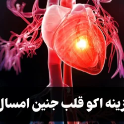 هزینه اکو قلب جنین امسال [بیمه و آزاد]