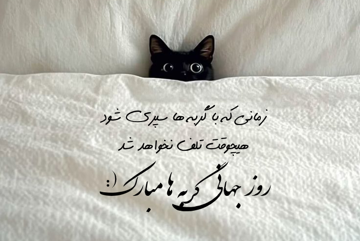 متن ویژه روز جهانی گربه با جملات و عکسهای جذاب روز گربه
