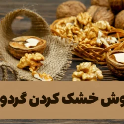 روش خشک کردن گردو [بهترین و آسان ترین روشها]