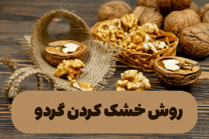 روش خشک کردن گردو [بهترین و آسان ترین روشها]