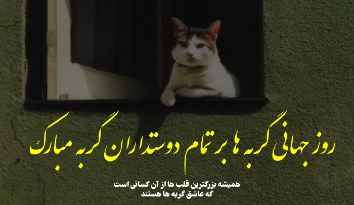 متن روز جهانی گربه + جملات و عکس نوشته روز گربه