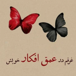 جمله های خفن برای بیوگرافی [ویژه اینستا، روبیکا، شاد، واتس اپ]