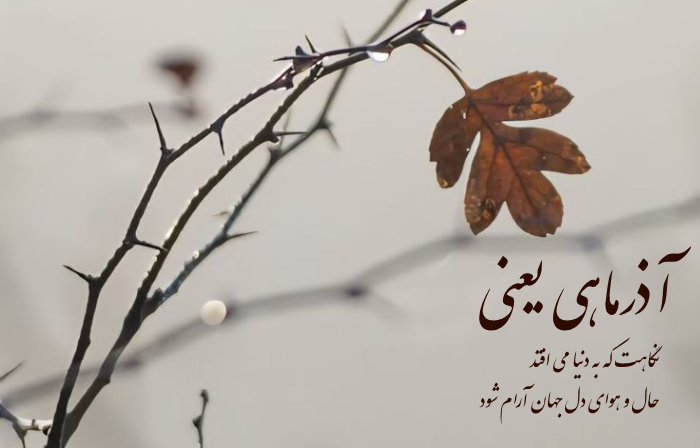متن آذرماهی یعنی؛ متن تبریک تولد آذر ماهی با عکس نوشته