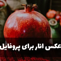 عکس انار برای پروفایل [40 عکس عاشقانه و فانتزی انار برای پروفایل]