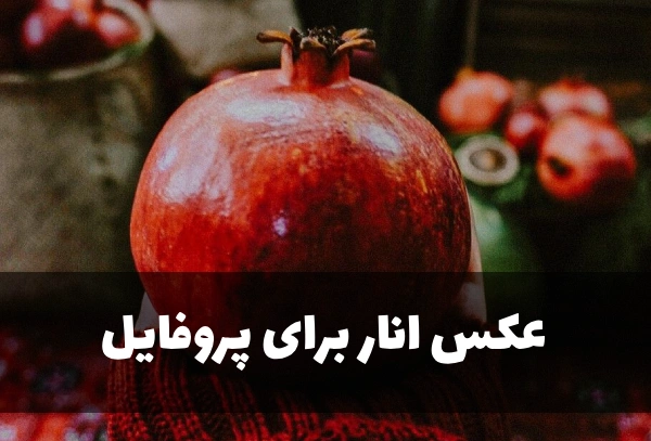 عکس انار برای پروفایل [40 عکس عاشقانه و فانتزی انار برای پروفایل]