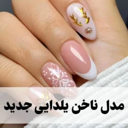 مدل ناخن یلدایی جدید [30 مدل طرح ناخن شب یلدا خاص و زیبا]