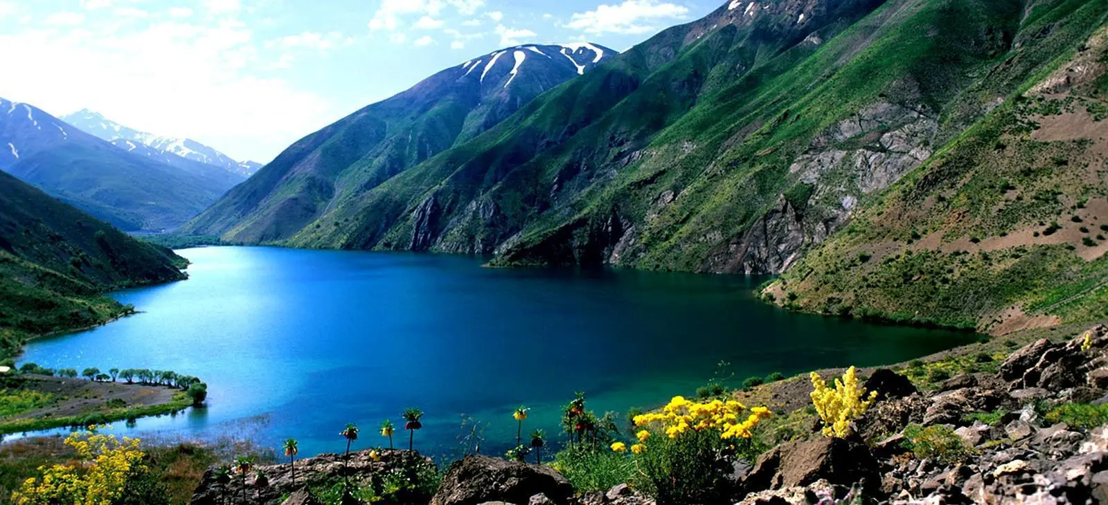 درباره ما