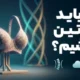 چرا باید از سوتین استفاده کنیم؟ بررسی فواید سلامت، زیبایی و حمایت از بدن