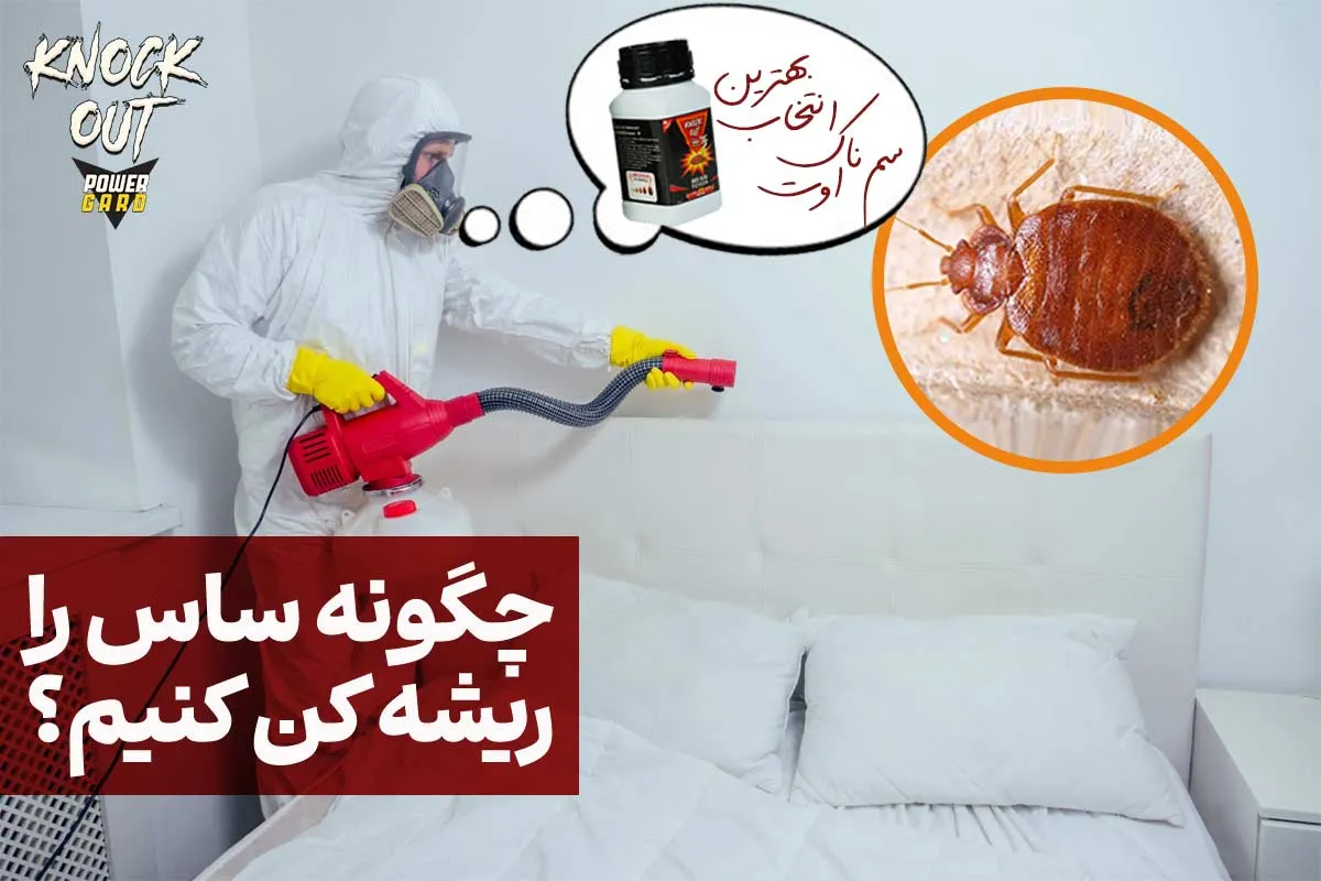 چگونه ساس را ریشه کن کنیم؟ (معرفی قوی ترین سم ساس)
