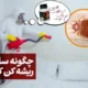 چگونه ساس را ریشه کن کنیم؟ (معرفی قوی ترین سم ساس)