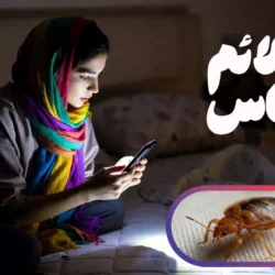 ساس از کجا میاد؟ و علائم ساس در منزل چیست؟