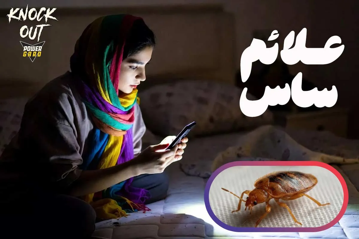 ساس از کجا میاد؟ و علائم ساس در منزل چیست؟