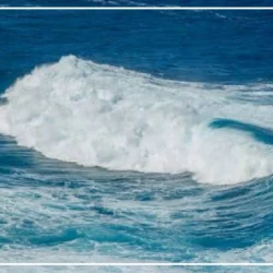 متن اهنگ من دلم پیش تو بود تو دلت کجا بود [متن کامل]