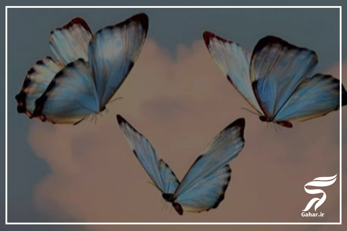 متن شاد کوتاه برای استوری [جملات پرانرژی و شاد برای استوری]