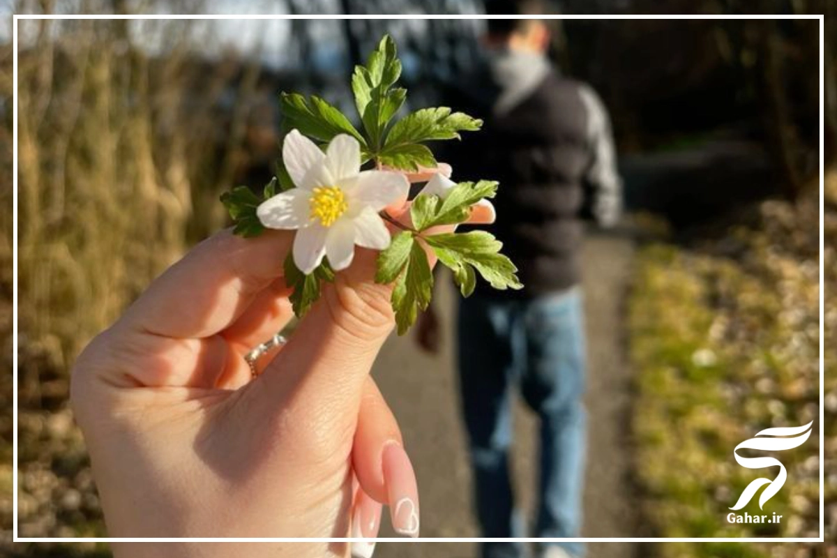 پروفایل ست عاشقانه اینستا [30 عکس پروفایل عاشقانه ست]