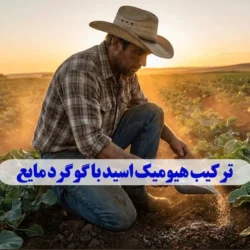 ترکیب هیومیک اسید با گوگرد مایع (مزایا و نکات فنی)