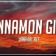 متن اهنگ cinnamon girl + ترجمه و دانلود آهنگ