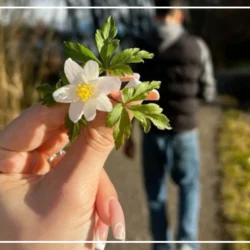 پروفایل ست عاشقانه اینستا [30 عکس پروفایل عاشقانه ست]