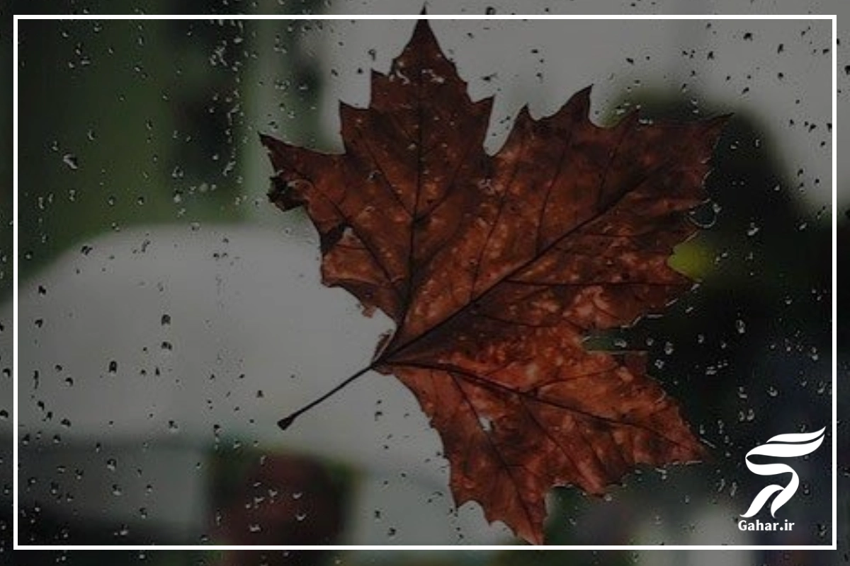 بیوگرافی پاییز [ 30 متن زیبا و کوتاه بیو پاییزی ]