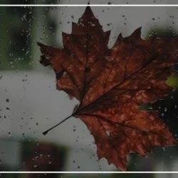 بیوگرافی پاییز [ 30 متن زیبا و کوتاه بیو پاییزی ]