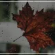 بیوگرافی پاییز [ 30 متن زیبا و کوتاه بیو پاییزی ]