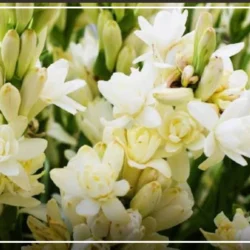 متن جان مریم چشماتو وا کن ریمیکس با صدای زن