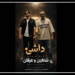 متن اهنگ شاهین نجفی سیتیزن دل پاکتم من [داس بشی من دستم برات]