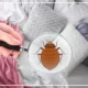 دعا برای از بین بردن ساس در منزل [دعای نابودی ساس]