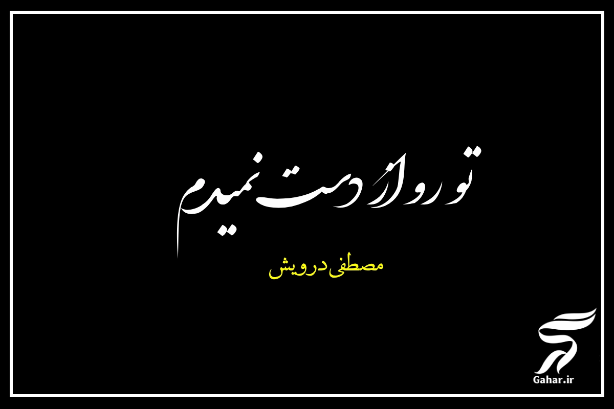 تو رو از دست نمیدم