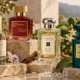 عطر یونیسکس چهار فصل؛ انتخابی خاص برای خانم‌ها و آقایان خوش‌سلیقه