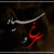 بازیگران سریال سرخ و سیاه + عکس، نقش ها و بیوگرافی کوتاه