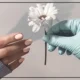 متن کوتاه تبریک روز پرستار【پیام تبریک رسمی و دوستانه 】